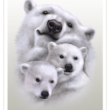 Оригинал схемы вышивки «белые медведи» (№1626770)