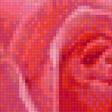 Предпросмотр схемы вышивки «Красные розы» (№1627506)