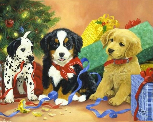 №1630302 - собаки, подарки, щенки - оригинал
