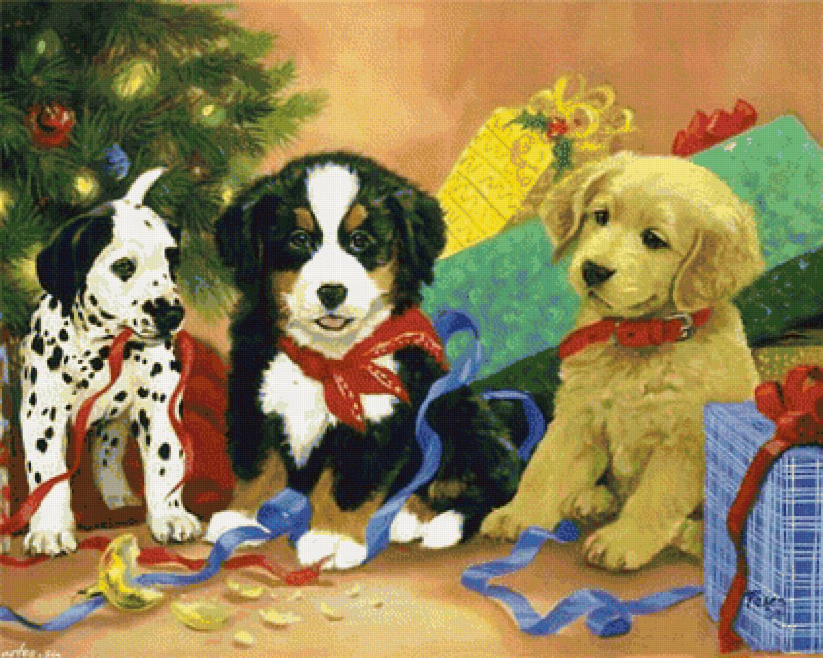 №1630302 - щенки, собаки, подарки - предпросмотр