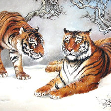 Оригинал схемы вышивки «тигры зимой» (№1632676)