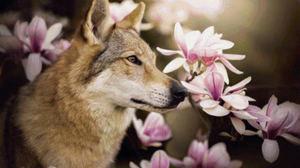 собака - цветы, собака, животные - предпросмотр