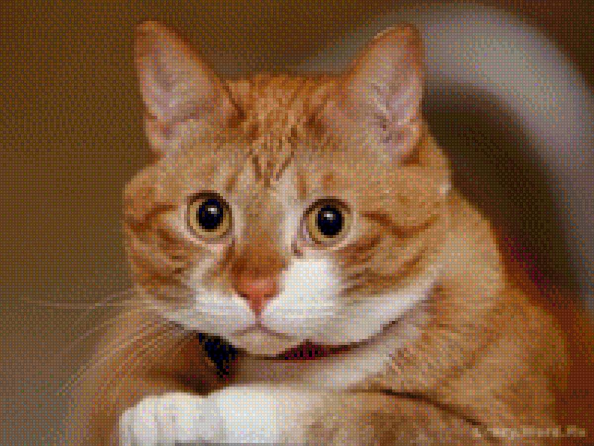 Рыжий котяра) - #кот, #рыжийкот, #красавчик - предпросмотр