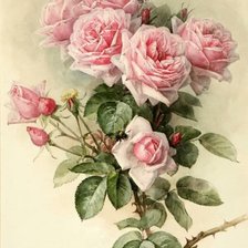 Оригинал схемы вышивки «Розы» (№1635545)