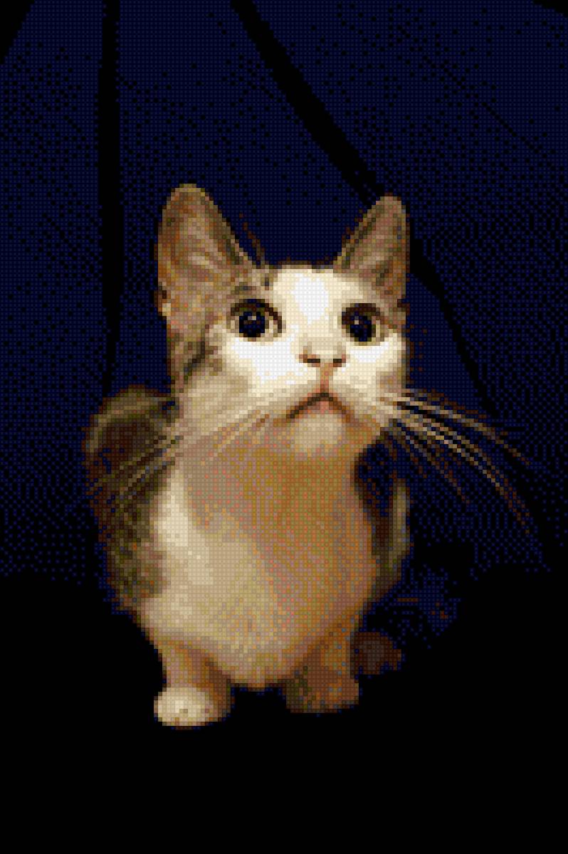 Кошка Муся - кот, кошка, животные - предпросмотр