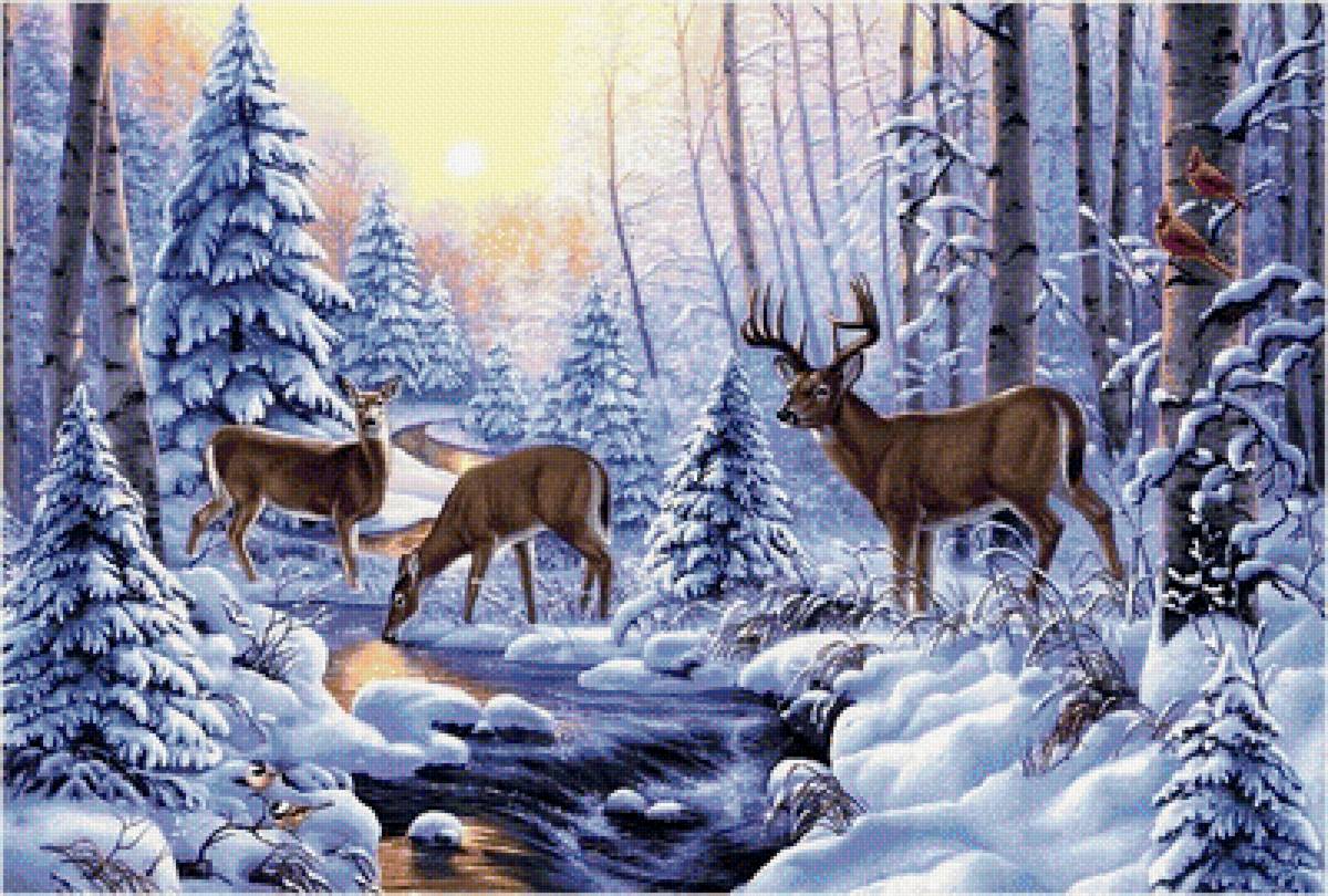 в зимнем лесу - пейзаж, зима, природа - предпросмотр