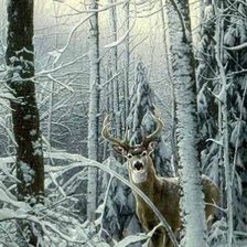 зимой в лесу