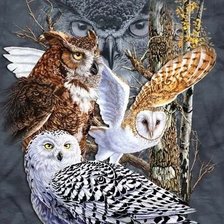 Схема вышивки «owl's»