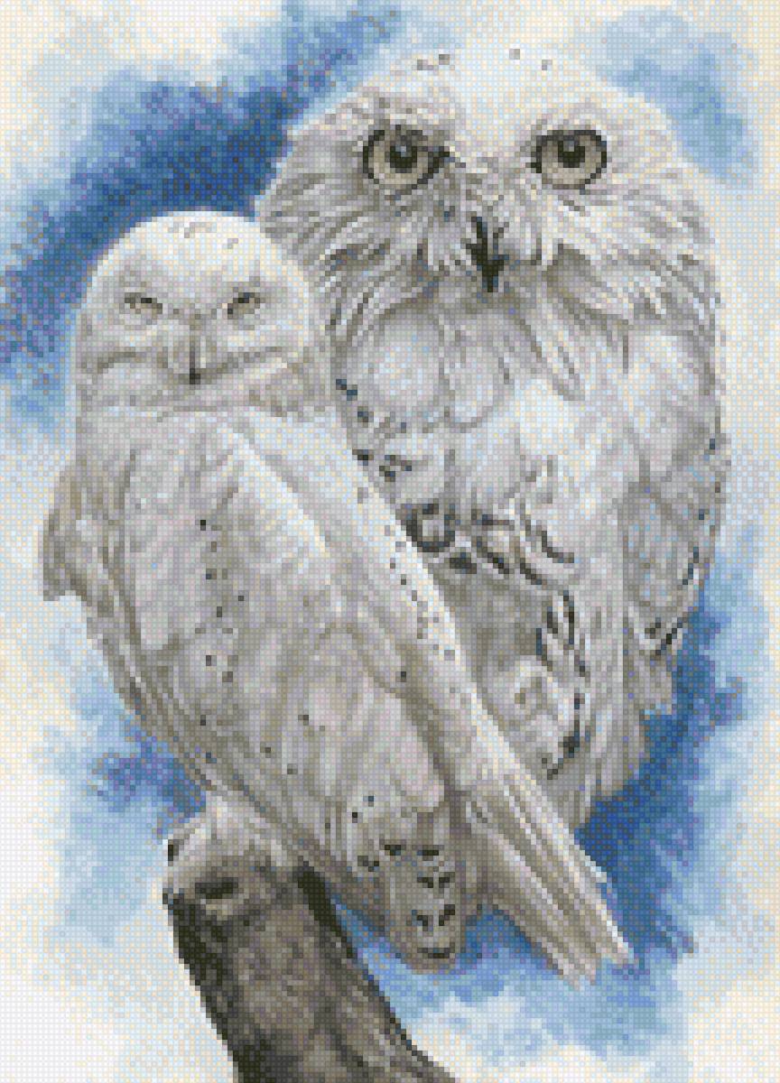 owlswhite - owlswhite - предпросмотр