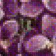 Предпросмотр схемы вышивки «Violetas Cesto» (№1647274)