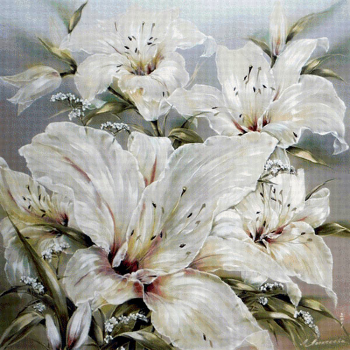 Белые лилии - цветы, лилии - предпросмотр