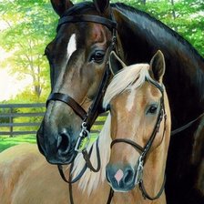 пара лошадей