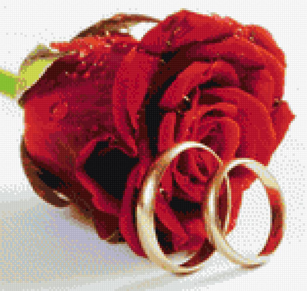 Обручальные кольца с розой - розы, кольца, свадьба - предпросмотр