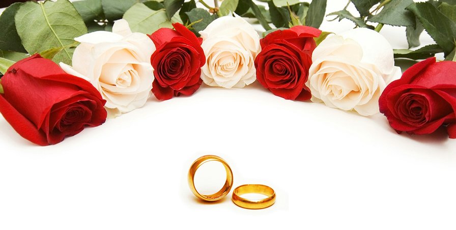 Обручальные кольца с розой 2 - обручальные кольца, розы, свадьба - оригинал