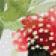 Предпросмотр схемы вышивки «цветущие кактусы» (№1655704)