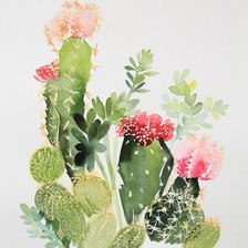 Оригинал схемы вышивки «цветущие кактусы» (№1655704)