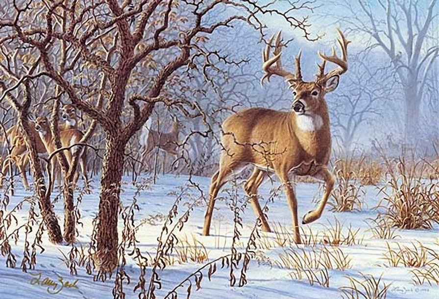 олени зимой - животные, зима, природа - оригинал