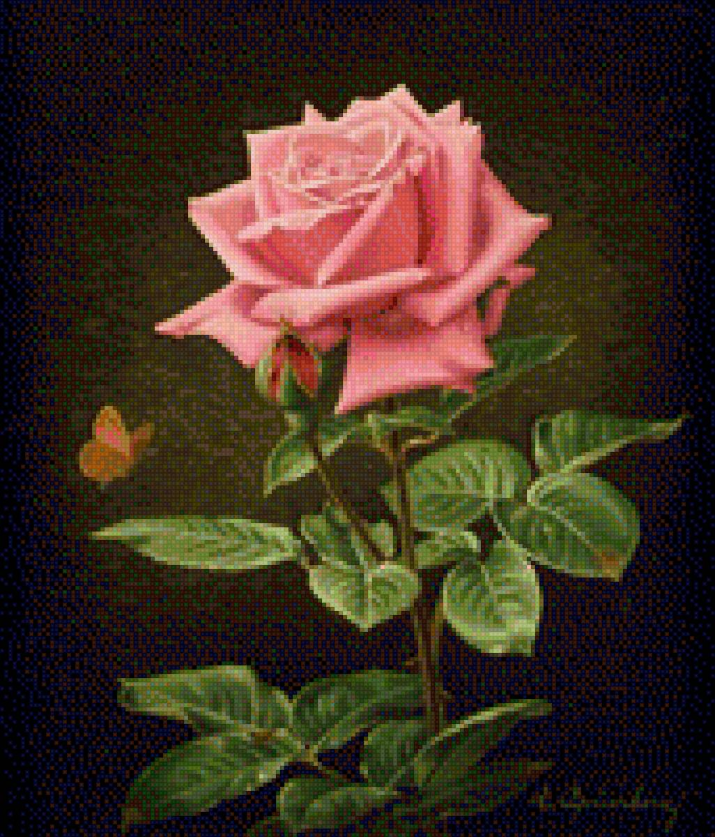Роза с бабочкой - роза - предпросмотр