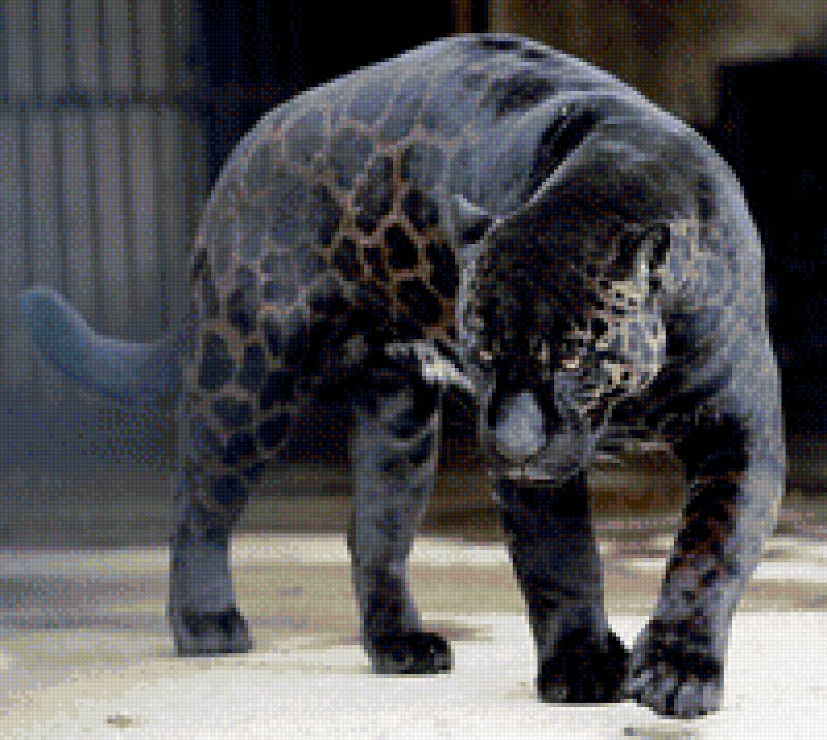 ягуар черный - животные - предпросмотр