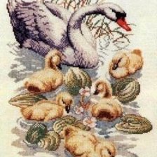 Оригинал схемы вышивки «семейство лебедей» (№1664588)