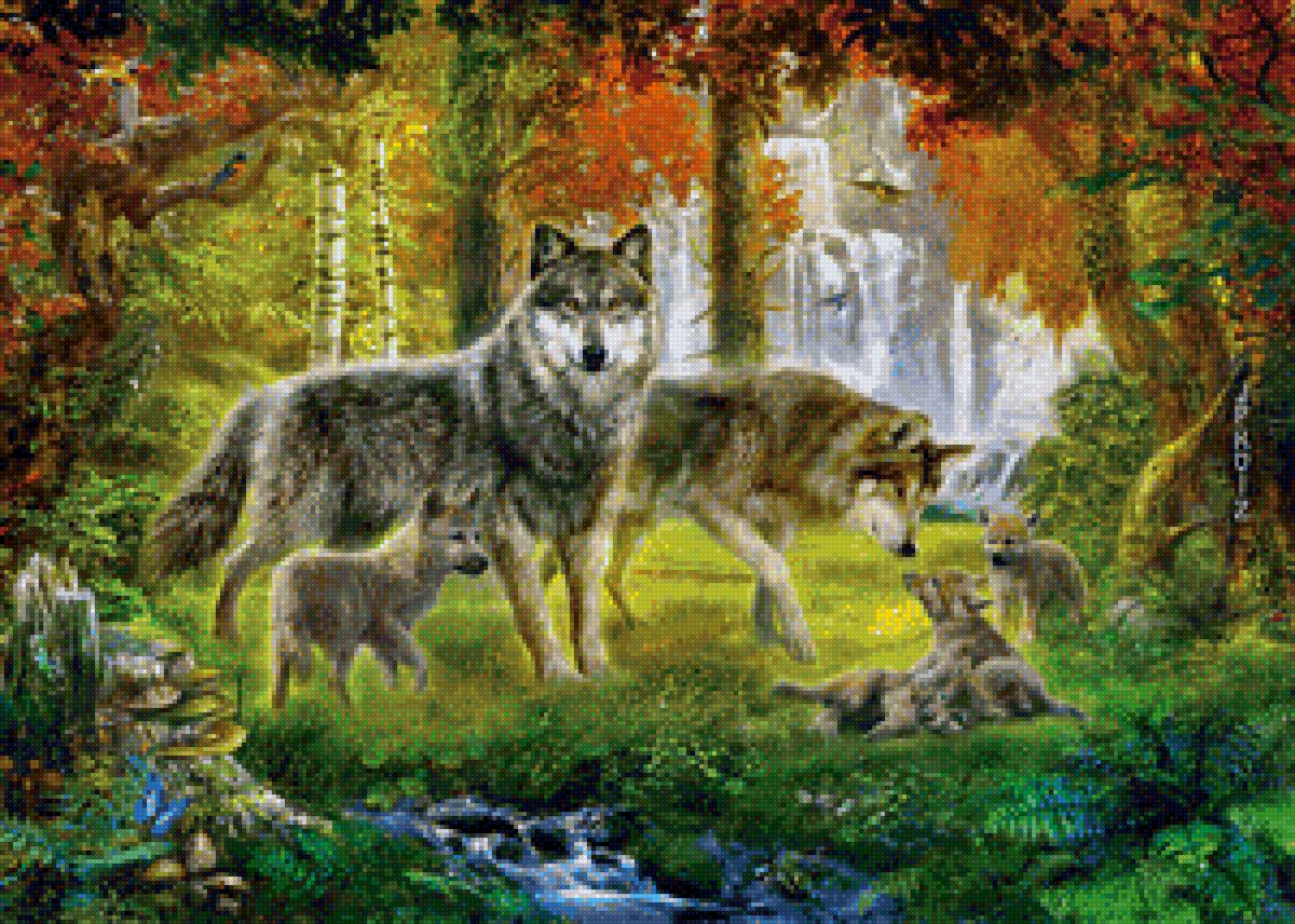 волки в лесу - волк, природа, семья - предпросмотр