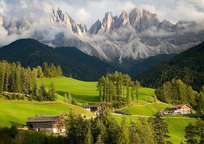 Доломитовые альпы, Италия - природа, деревья - оригинал