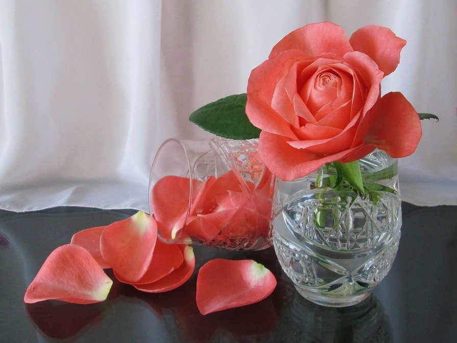 Роза в хрустальной вазе - розы, цветы - оригинал