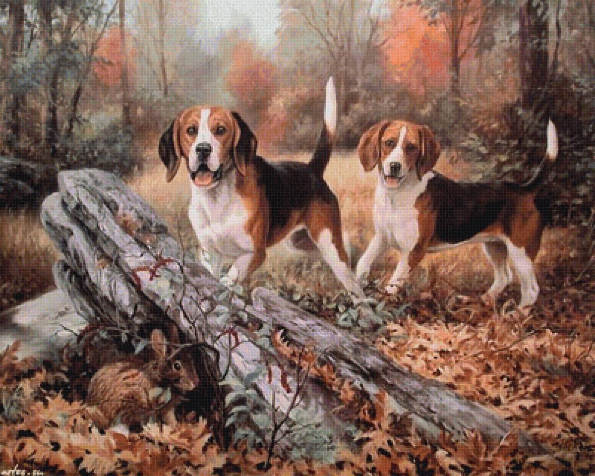 На охоте - осень, лес, животные, собаки, листья, охота, зайцы - предпросмотр