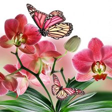 Оригинал схемы вышивки «цветы и бабочки» (№1671716)