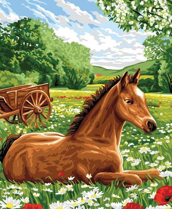 весна - животные, лошадь - оригинал