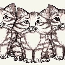 3 котики