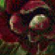 Предпросмотр схемы вышивки «фуджико, тюльпаны и анемоны» (№1674094)
