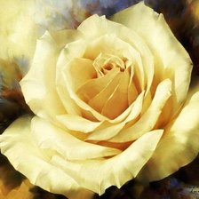 Оригинал схемы вышивки «белая роза» (№1682081)