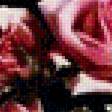 Предпросмотр схемы вышивки «букет роз» (№1682111)