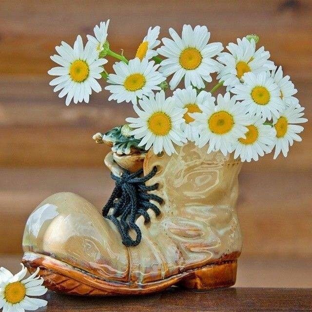 Ромашки в ботинке - цветы, ботинок, ромашки - оригинал