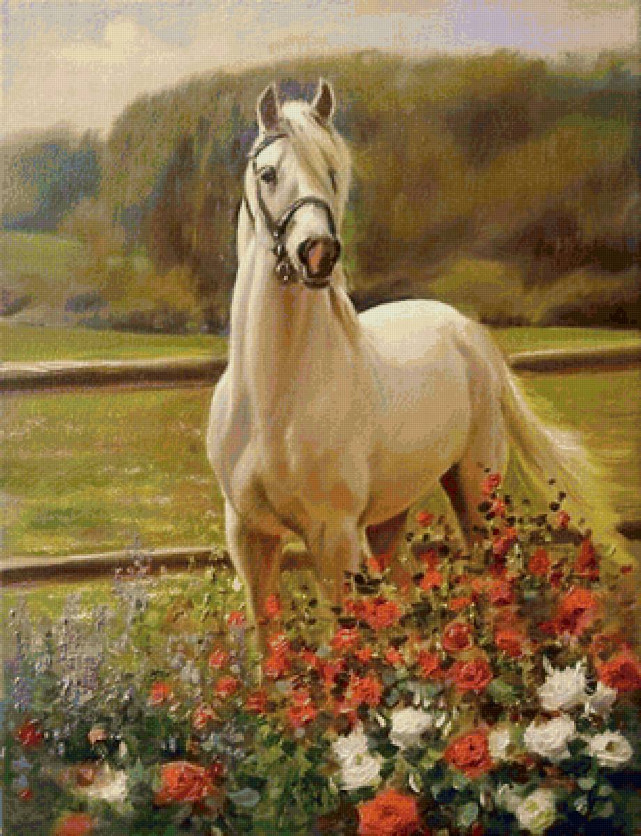 Белая лошадь - животные, цветы, лес, лошадь - предпросмотр