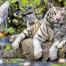 тигрица и тигрята