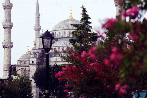 Сердце Чечни - мечеть - оригинал