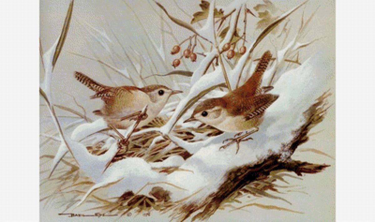 Птицы зимой - зима, яноды, птицы - предпросмотр