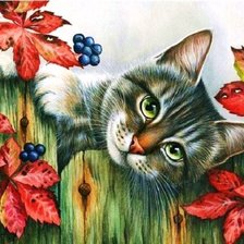 Оригинал схемы вышивки «milá mačka» (№1684651)