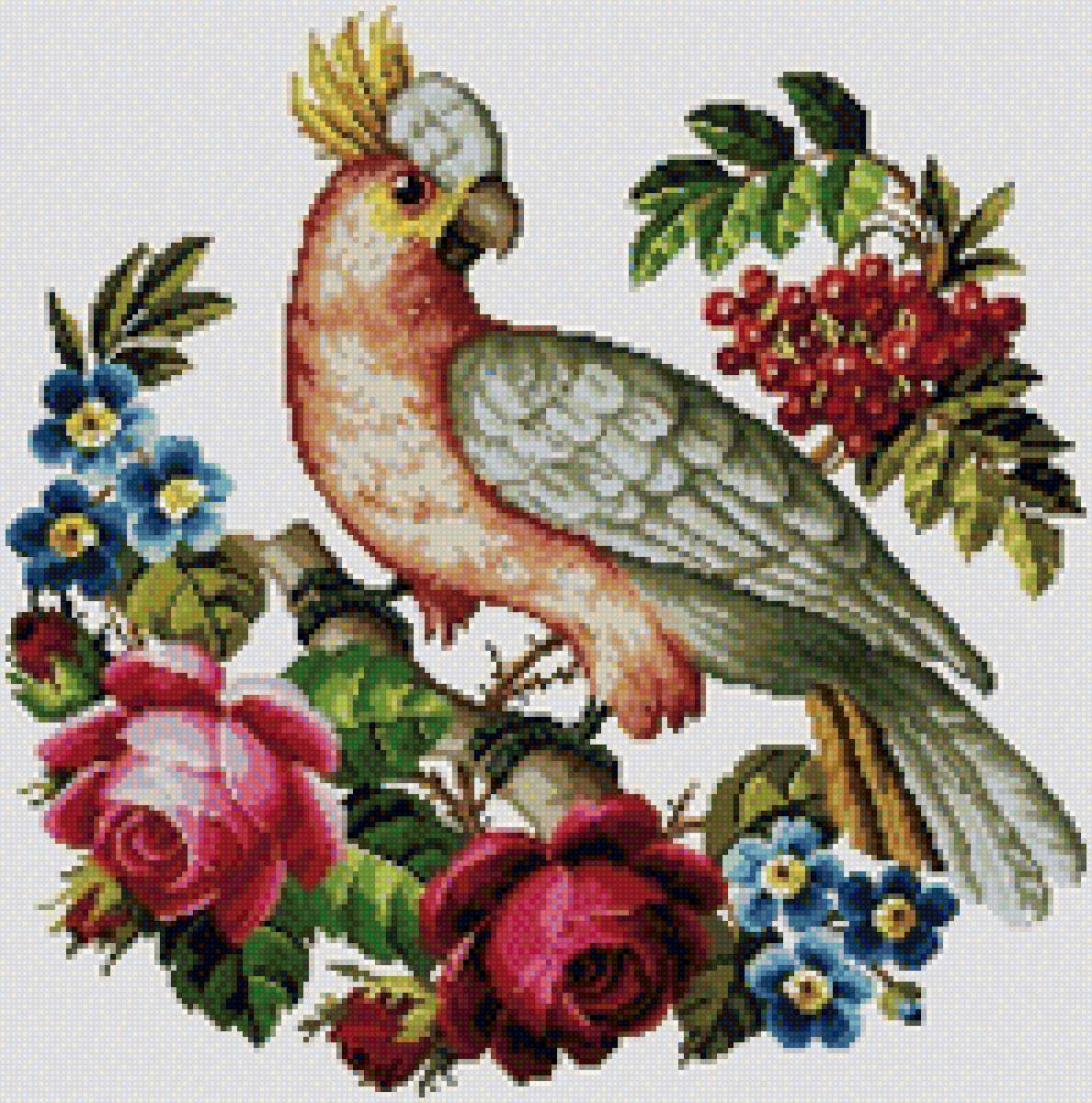 Попугай и розы - розы, попугай, вышивка крестом - предпросмотр