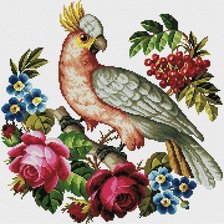 Оригинал схемы вышивки «Попугай и розы» (№1687485)