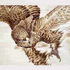 Оригинал схемы вышивки «орел» (№1688107)