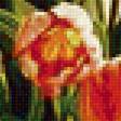 Предпросмотр схемы вышивки «kvety v okne» (№1689075)