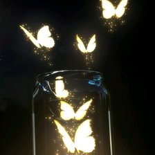 Бабочки в баночке