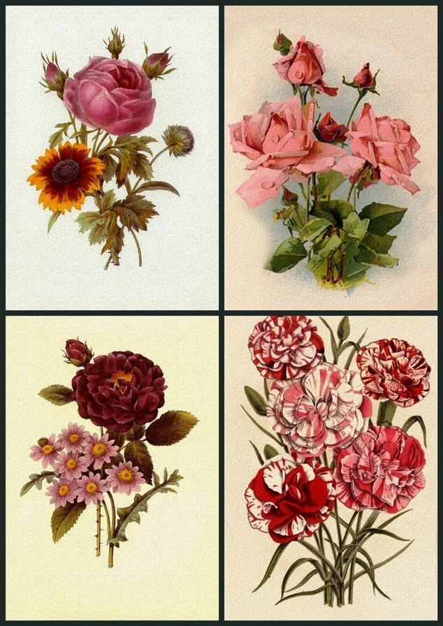 цветочный коллаж 14 - цветы - оригинал