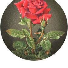 Оригинал схемы вышивки «Роза» (№1693425)