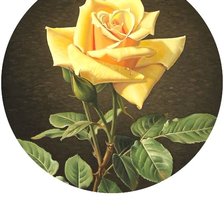 Оригинал схемы вышивки «Роза» (№1693482)