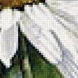 Предпросмотр схемы вышивки «ромашковое поле» (№1694025)