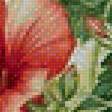Предпросмотр схемы вышивки «Цветы» (№1694778)